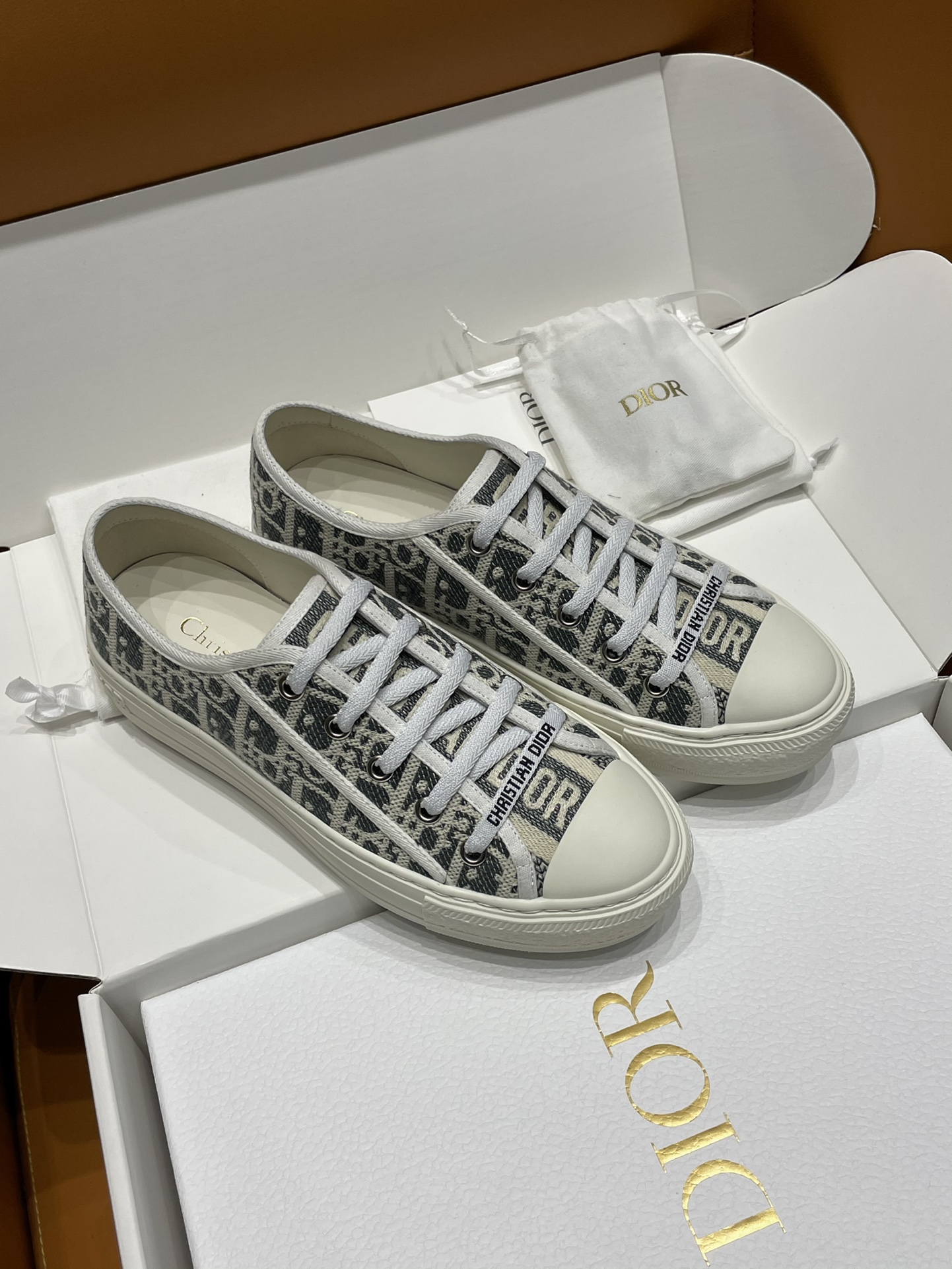 Dior Oblique Snekers