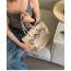 Chanel Beach Straw Shopping Bag 코코  비치 스트로 쇼핑백