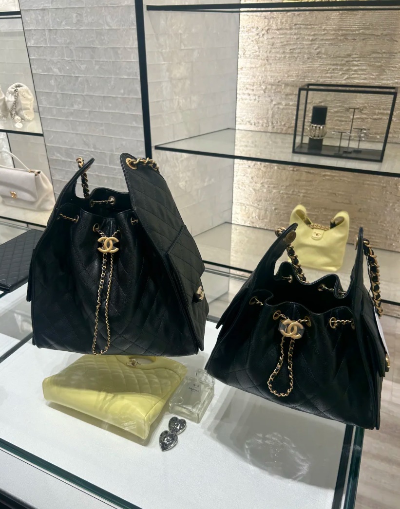 CHANEL 25 BAG HOBO (+Premium)