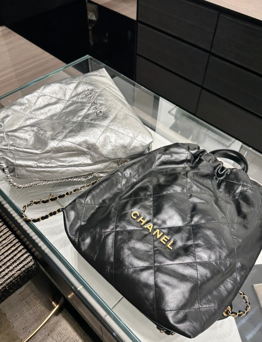 CHANEL 22 Backpack (+premium)