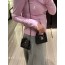 CHANEL Kellly Bag (+mini,small)