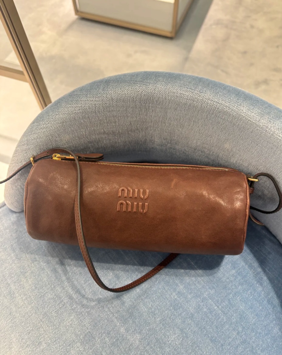 Miumiu Pouch Bag
