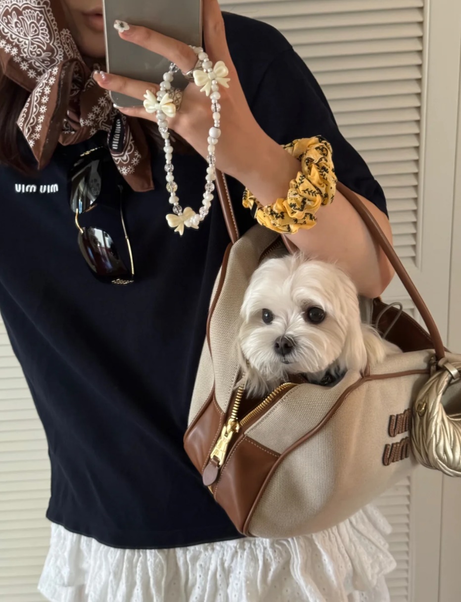 Miumiu Canvas Bo Bag