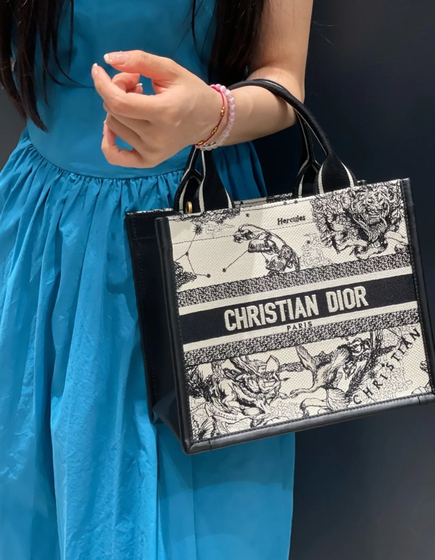 Dior Book Tote Bag(+2size)