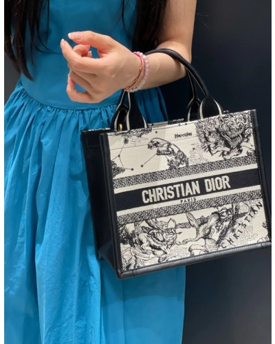 Dior Book Tote Bag(+2size)