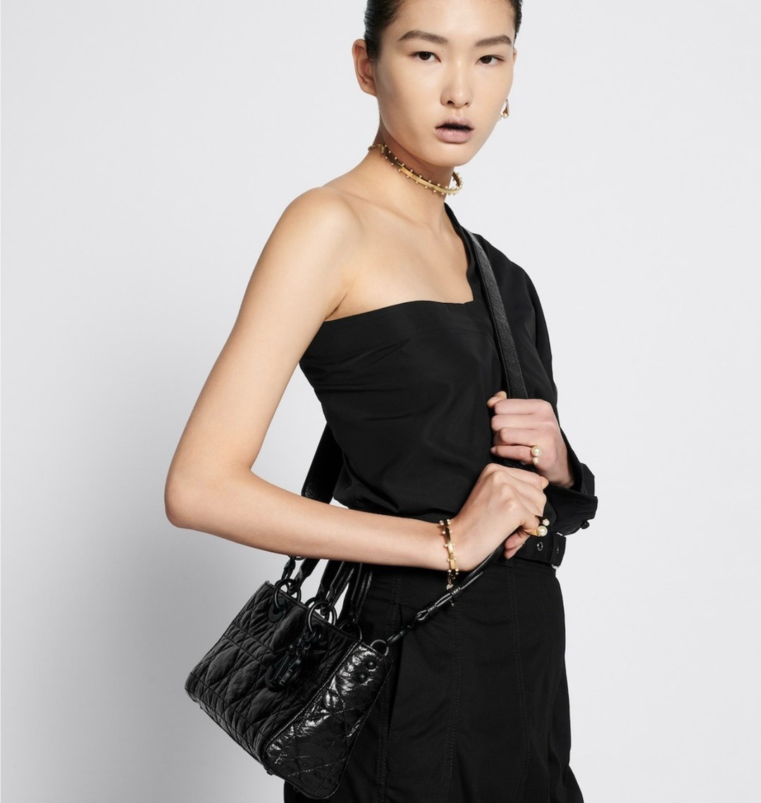 Dior D-Sire Bag (+2size)