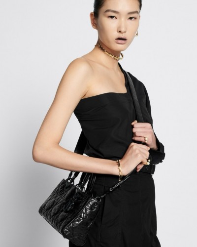 Dior D-Sire Bag (+2size)