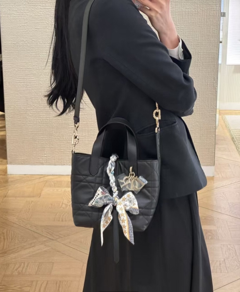 Dior Vertical Toujours 디올 버티컬 뚜주흐백