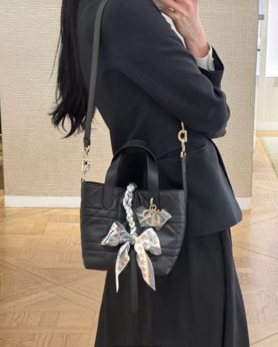 Dior Vertical Toujours 디올 버티컬 뚜주흐백
