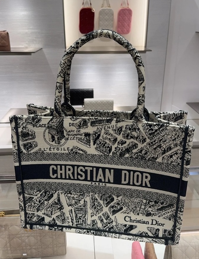 Dior Book Tote Paris