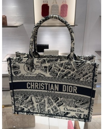 Dior Book Tote Paris