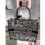 Dior Book Tote Paris
