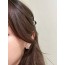 CHANEL 샤넬 cc 이어링 