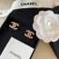 CHANEL CC 이어링