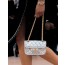 CHANEL 샤넬 25 체인백 (+premium)