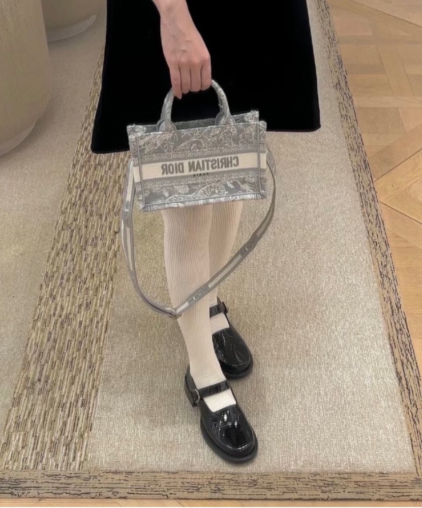 Dior Book Tote mini