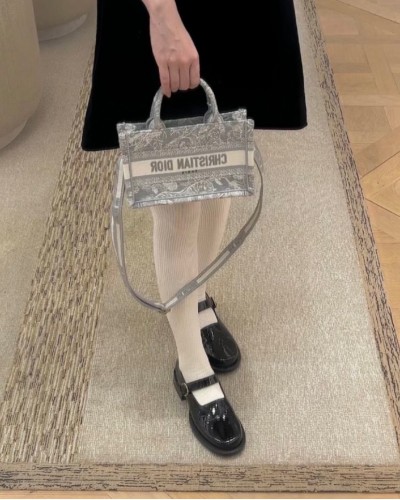 Dior Book Tote mini