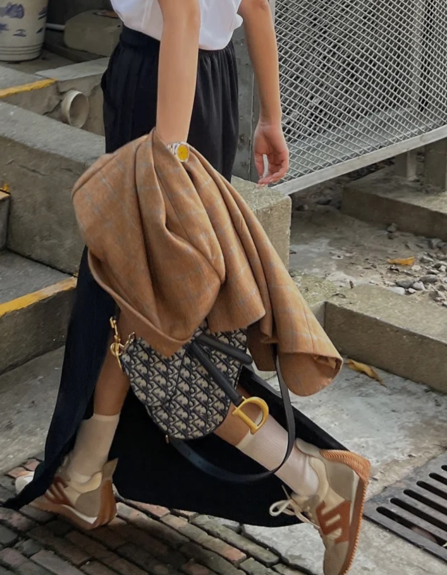 Dior Saddle Bag