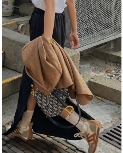 Dior Saddle Bag