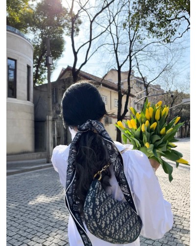 Dior Oblique Shoulder Bag