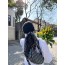 Dior Oblique Shoulder Bag