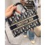 Dior Book Tote mini