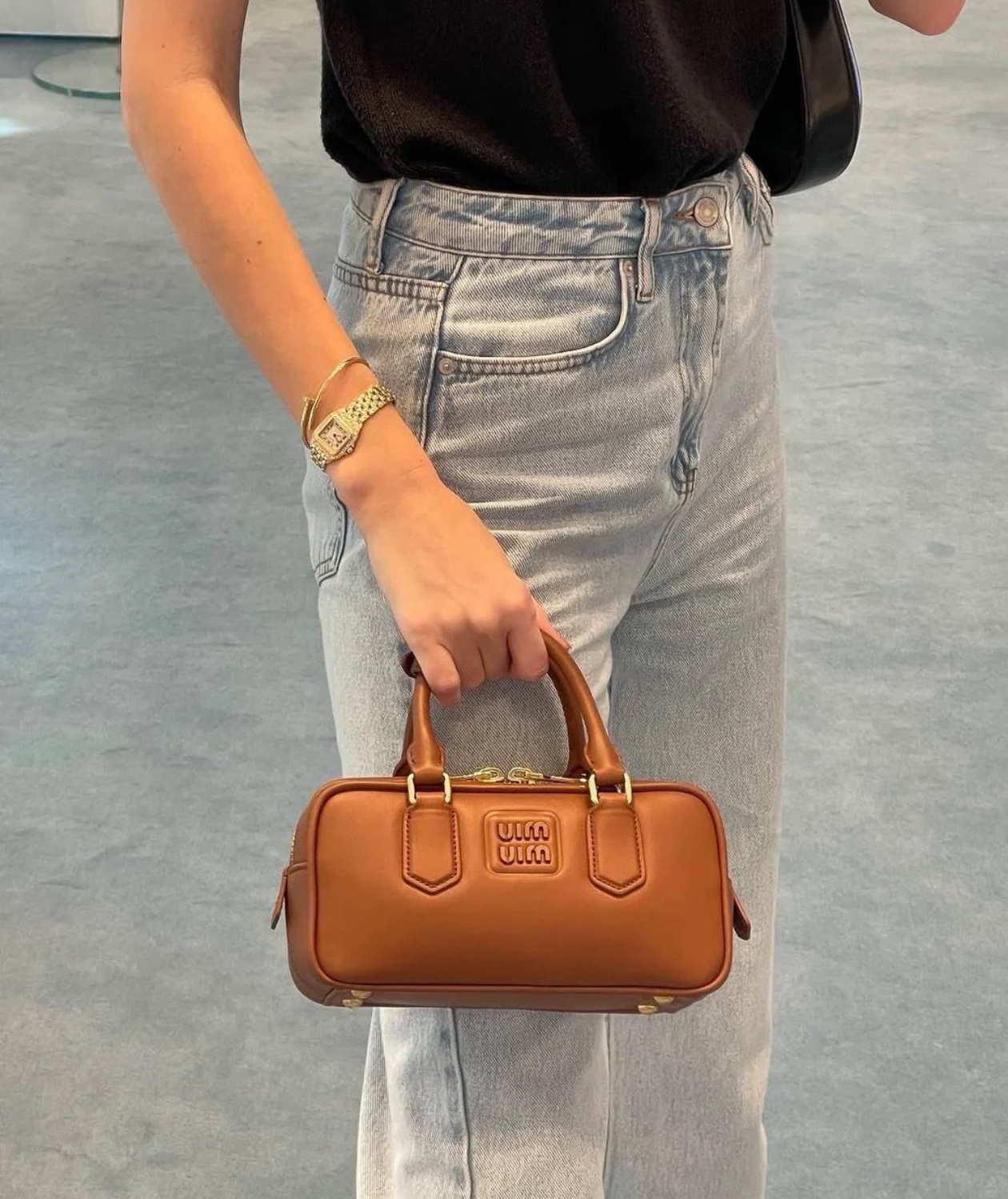Miumiu Arcadie Bag