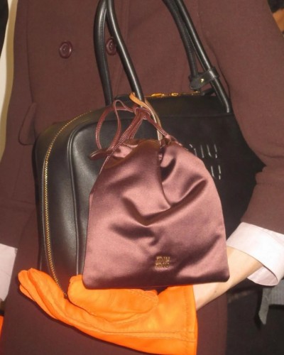 Miumiu Satin Strap Pouch
