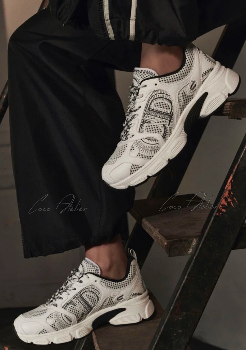 [Dior] chrono 스니커즈 (+6color)