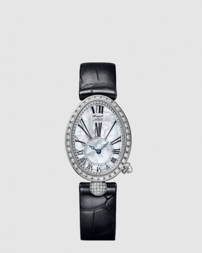 [Breguet] 레인 드 네이플 33 8928BB