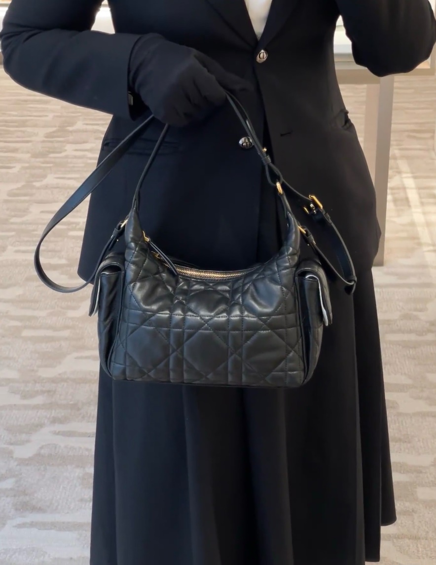 Dior D-Dream Hobo Bag