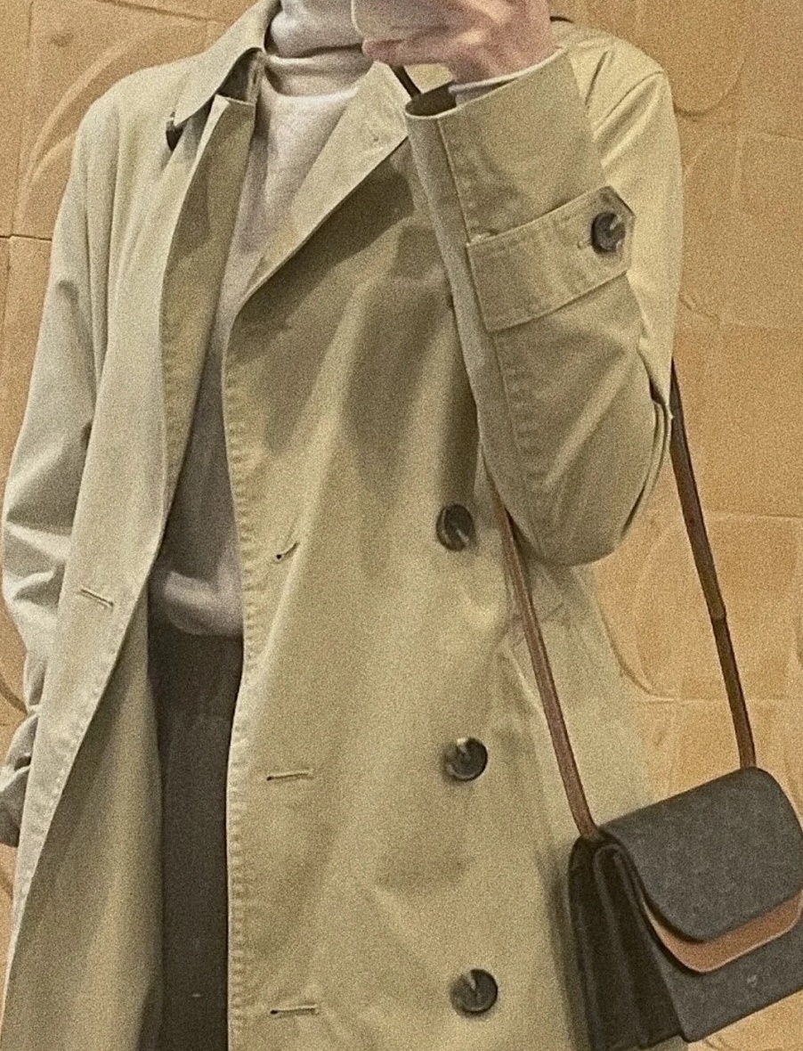 Celine Triomph Canvas(+2color)