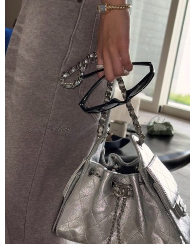 CHANEL 25 BAG SLiver (+Premium)