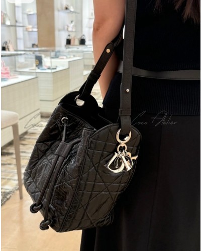 Dior디올 디모션백