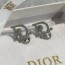 D Earrings