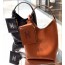 Cel Hobo Bag (+2color)