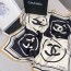 CC Scarf