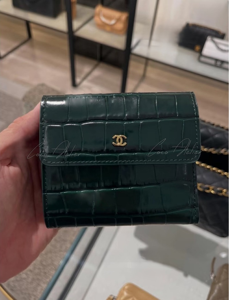 Crocodile wallet